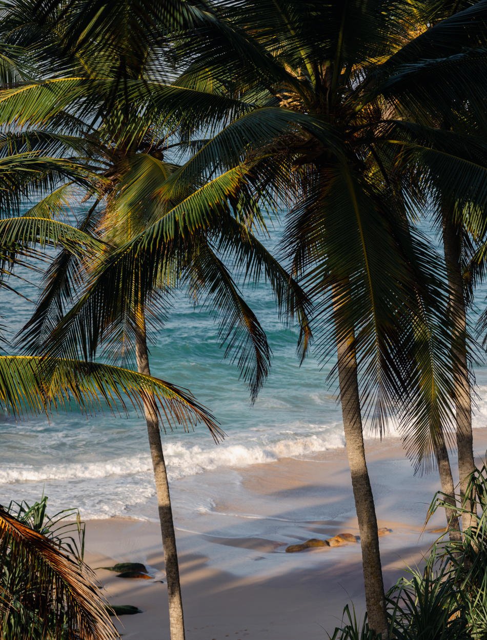 Amanwella, Sri Lanka - Exterior, Silent Beach Coconuts