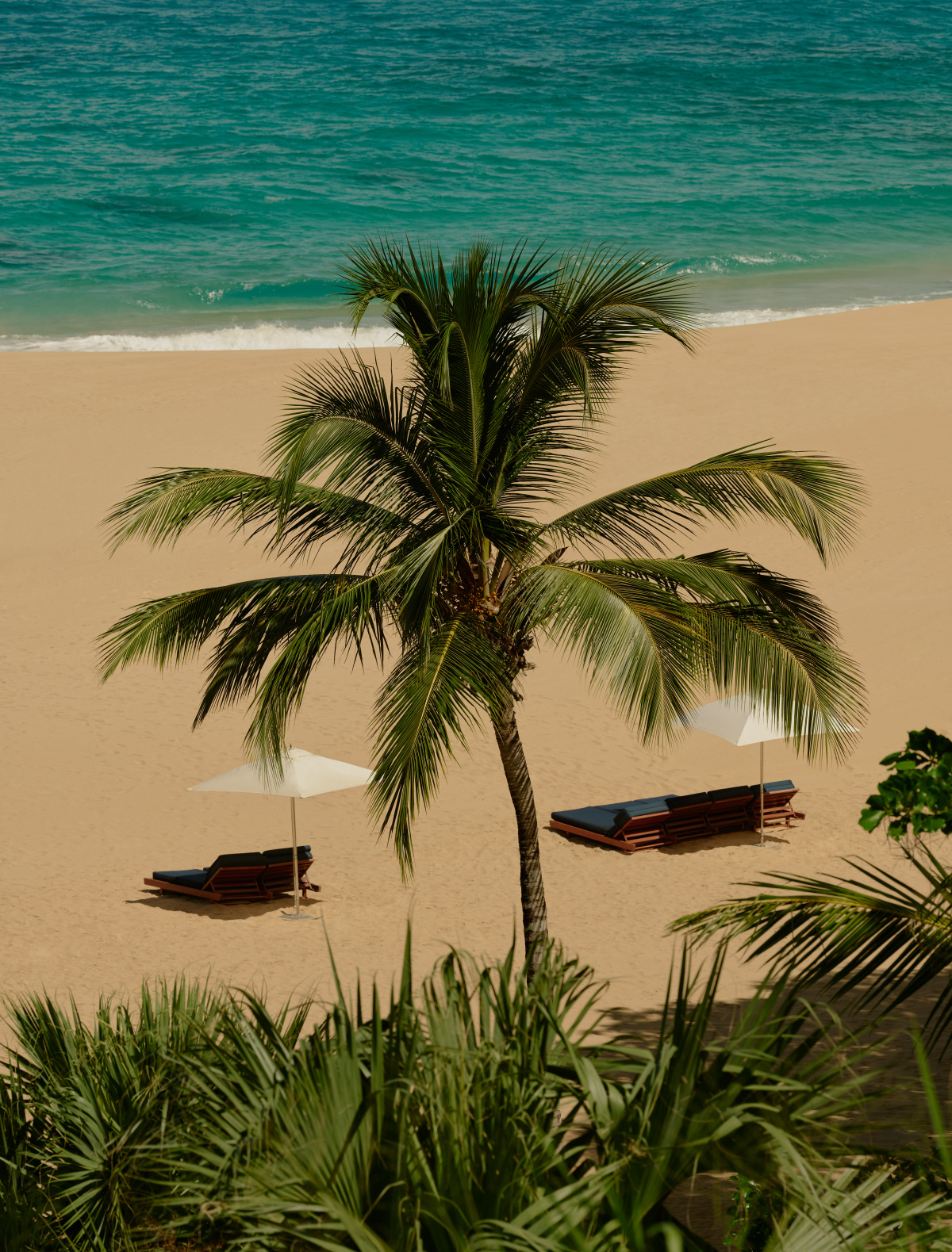By the ocean - Aman