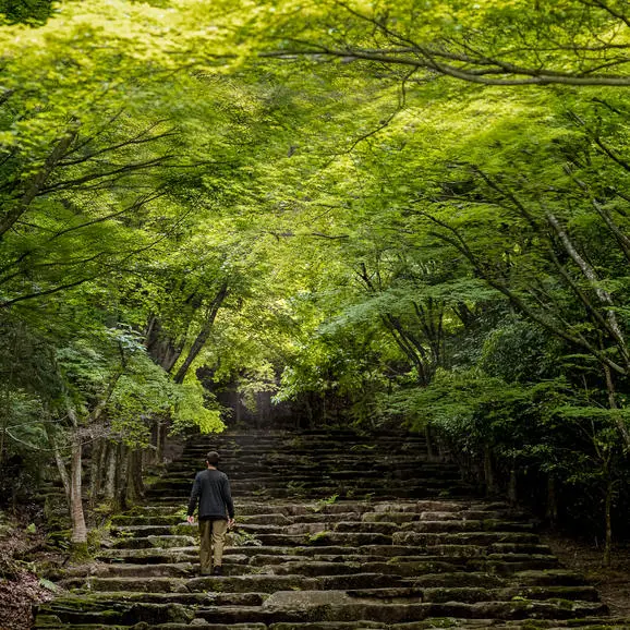 Stone stairway through verdant forest at Aman Kyoto resort.