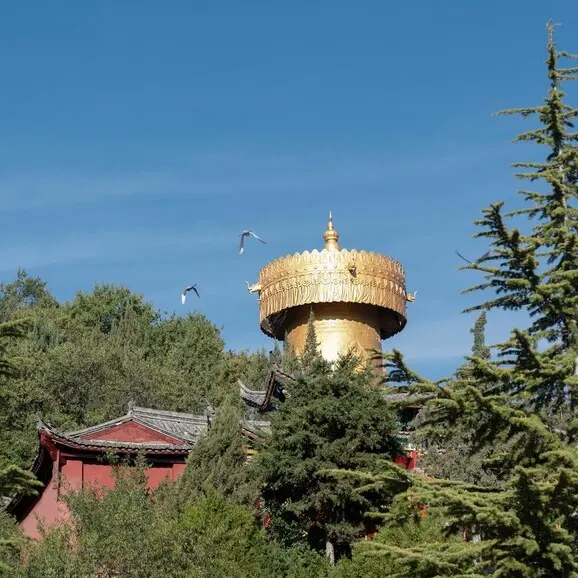 Golden-domed tower at Amandayan surrounded by evergreen trees under clear sky.