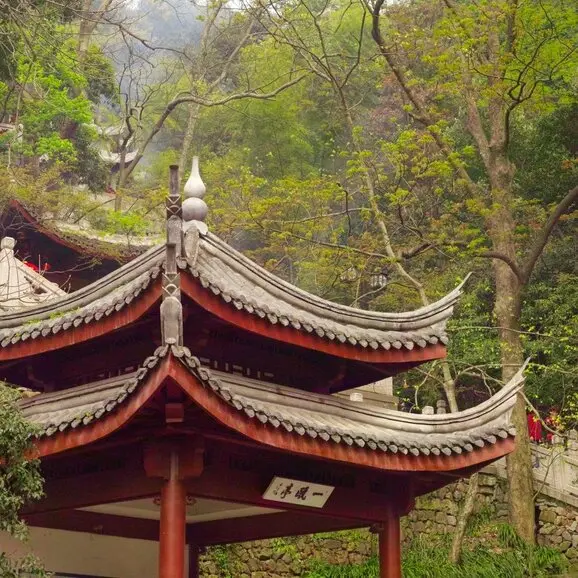 永福寺亭阁坐落于翠绿树木之中，红色飞檐与金色装饰在法云安缦度假村内闪闪生辉。