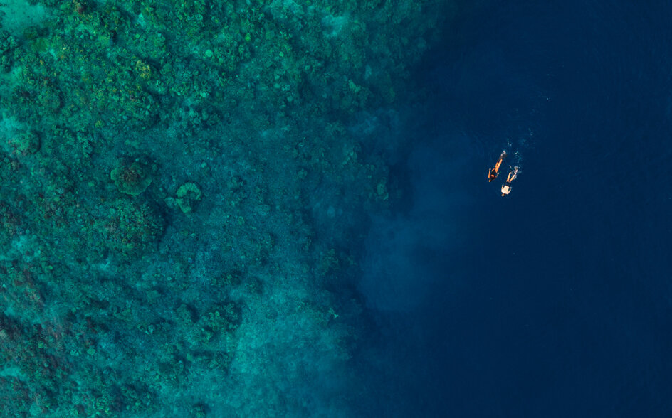 Amanwana, Indonesia - Experience, Snorkelling
