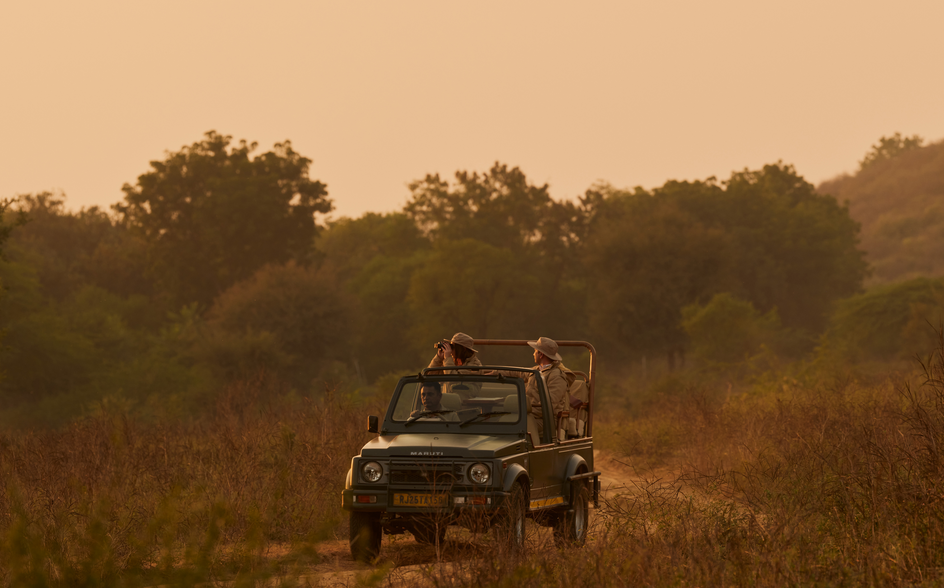 Guests on safari in an open-top vehicle at Aman-i-Khas, India, at golden hour.