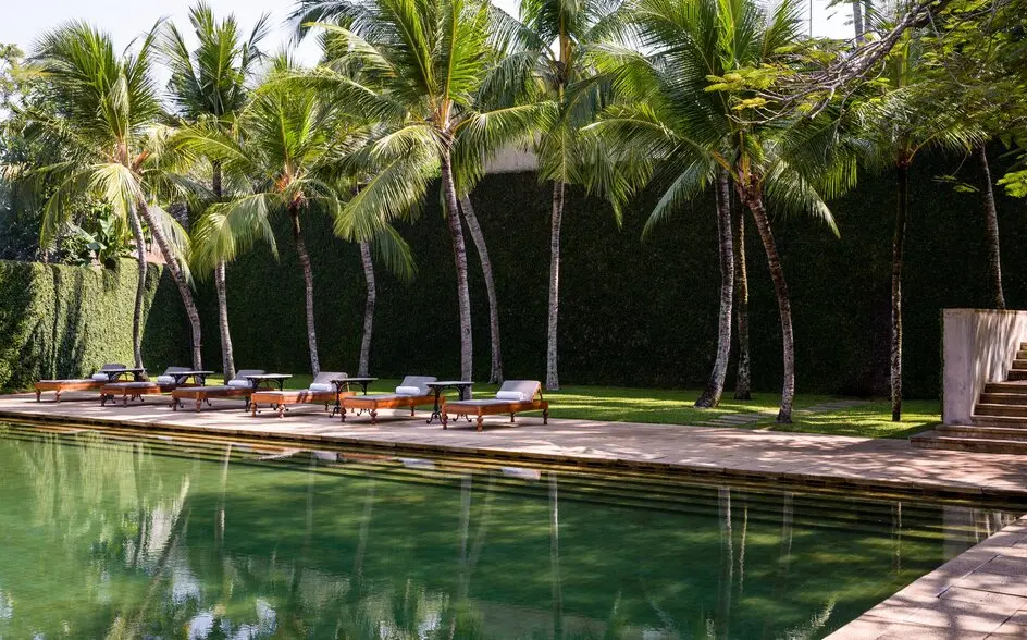 Wooden platform beside a tranquil pool at Amangalla, flanked by towering palm trees in Sri Lanka.