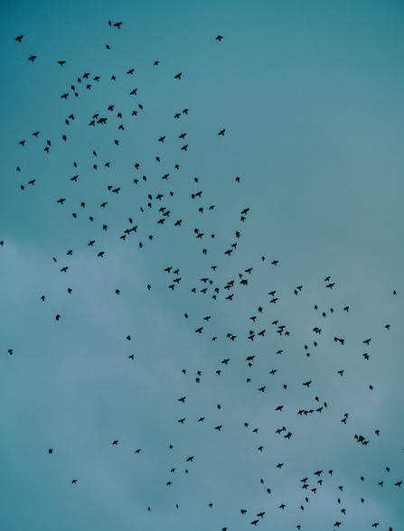 Do not use - Aman NY - Meditations.