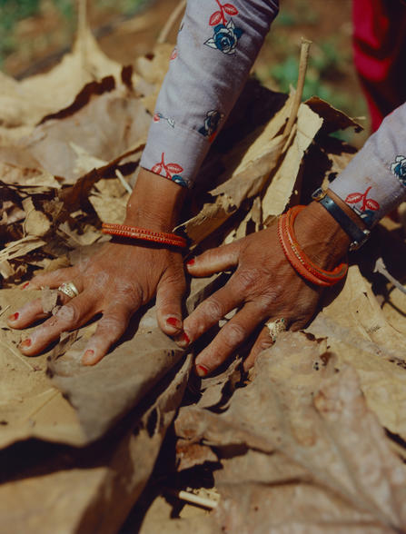 India, Aman-I-Khas, Camping