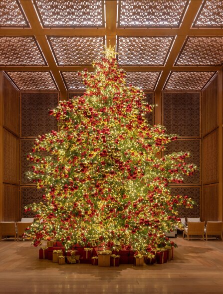 Amanyangyun, China - Christmas Tress