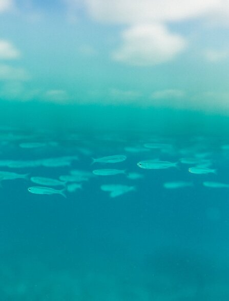 Amanyara, Turks &amp; Caicos - Sea Activities