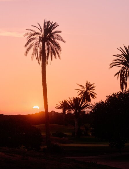 Palm trees silhouetted against a golden sunset at Amanjena, Morocco.