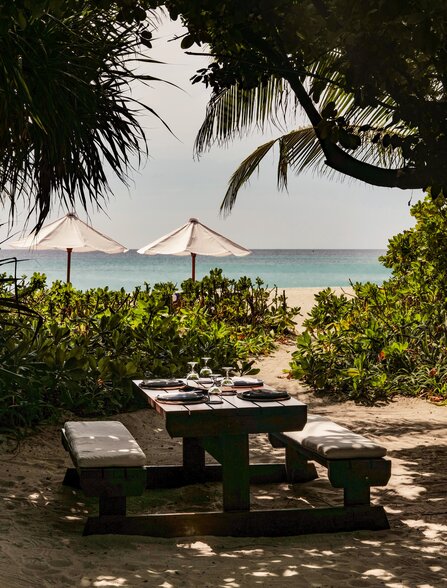 Picnic table beneath palm trees overlooking the shore at Amanpulo, Philippines.