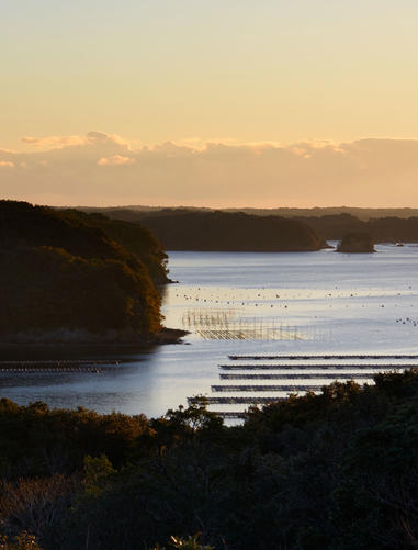 Aman Tokyo, Japan - Landscape