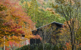 aman-kyoto-japan-exterior-garden.jpg