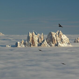 Aman Rosa Alpina, Italy - Mountains