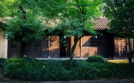 Amanfayun's courtyard pavilion framed by mature trees and dappled sunlight.