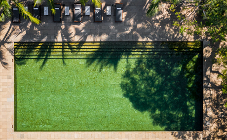 Overhead view of manicured lawn with tree shadows at Amangalla.