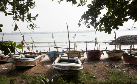Boats moored along the waterfront at Amangalla, with tree branches framing the view.