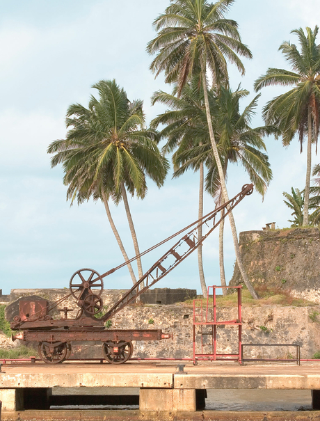 Amangalla's ochre-coloured fort wall with palm trees rising behind, reflected in still water below.