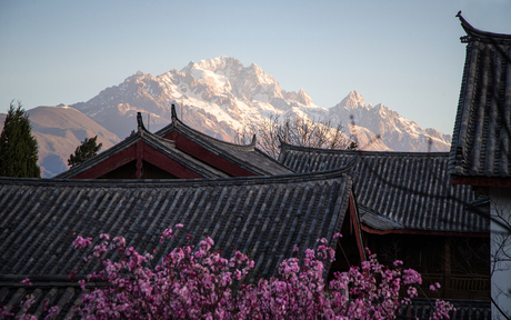Snow-capped mountain framed by traditional Chinese architecture and flowering trees at Amandayan.