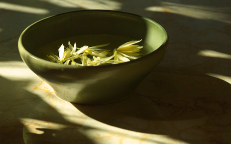 Bowl of yellow flowers floating in water at Amandari, caught in dappled sunlight.