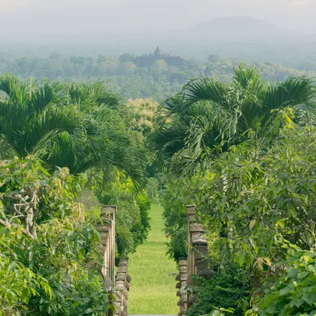 Verdant valley view with terraced vineyard rows and misty volcanic peaks at Amanjiwo.
