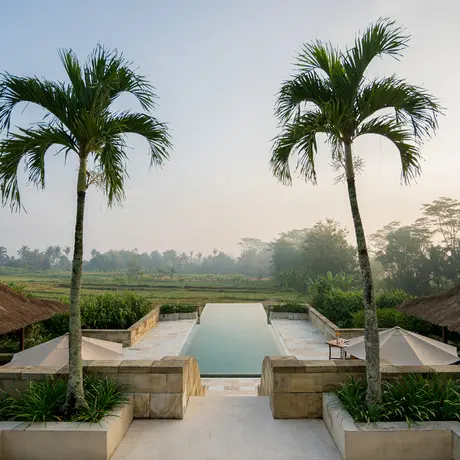 Symmetrical view down a stone pathway with twin palm trees flanking a reflection pool at Amanjiwo, misty landscape beyond.
