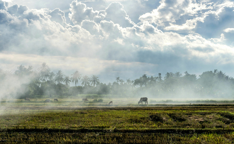 Misty valley landscape at Amanoi with forested hills emerging through morning fog.