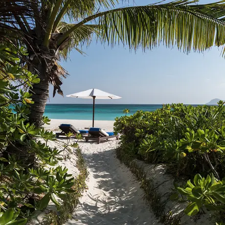 Tropical beach pathway framed by lush vegetation leading to turquoise waters at Amanpulo.