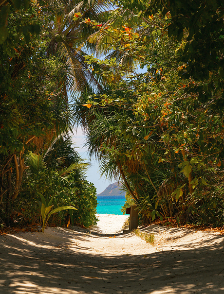 Turquoise lagoon waters visible through dense tropical foliage at Amanpulo resort.