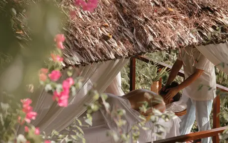 Monkey perched on wooden structure at Amanpulo, with pink flowering vines in foreground.