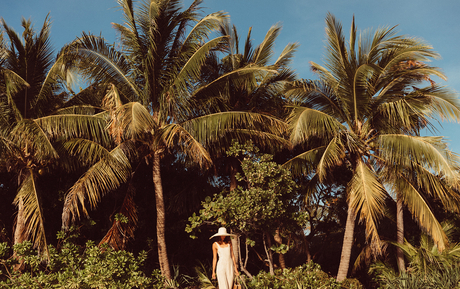 Amanpulo's tropical garden with towering palm trees beneath a clear sky.