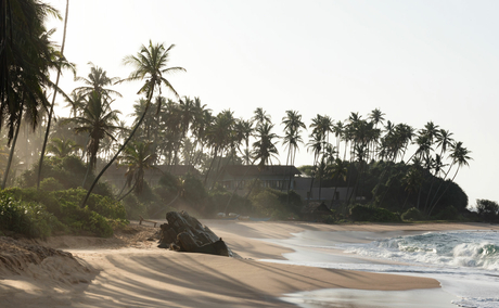 Amanbagh's sandy beach lined with palm trees and rocky outcrops along the shoreline.
