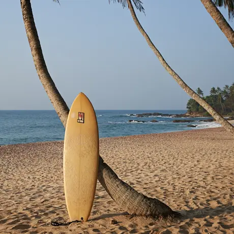 Surfboard leaning against palm tree on Amanwella's sandy beach, ocean beyond.