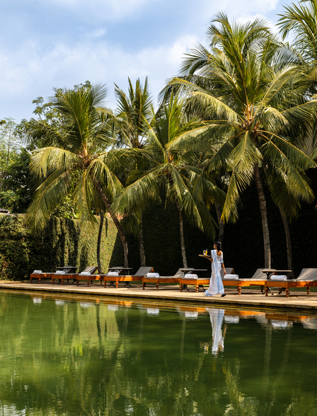 Palm trees line a tranquil waterway at Amangalla, their reflections mirrored in still green water.