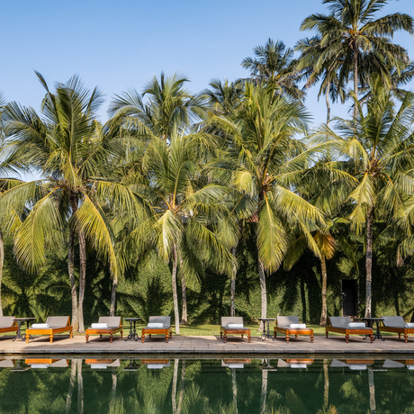 Palm trees line the waterfront at Amangalla, their reflections mirrored in the calm water below.