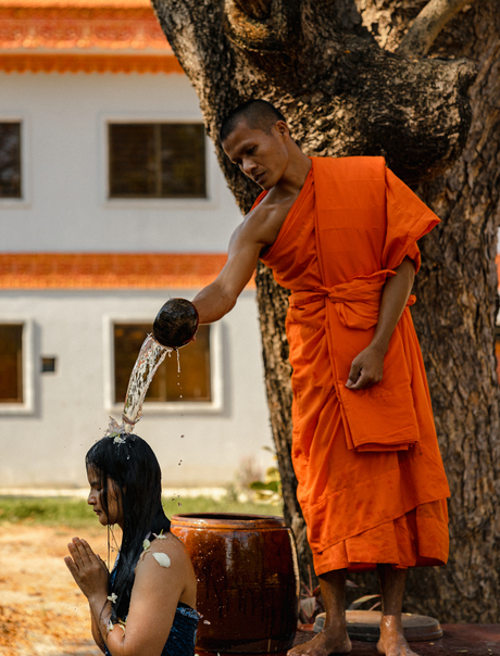 Buddhist monk in saffron robes standing by tree at Amansara, Cambodia.
