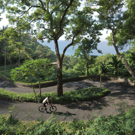 Cyclist riding through lush gardens at Amankila, Bali, beneath towering trees.