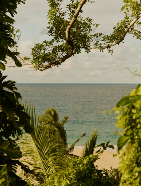 Tropical vegetation frames a serene ocean view at Amanera.