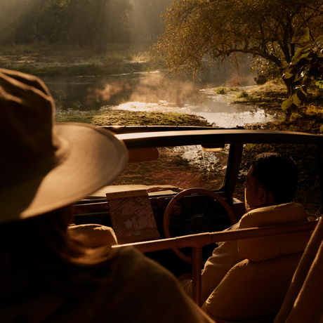 Safari vehicle view at Aman-i-Khas with golden light illuminating the Indian landscape ahead.