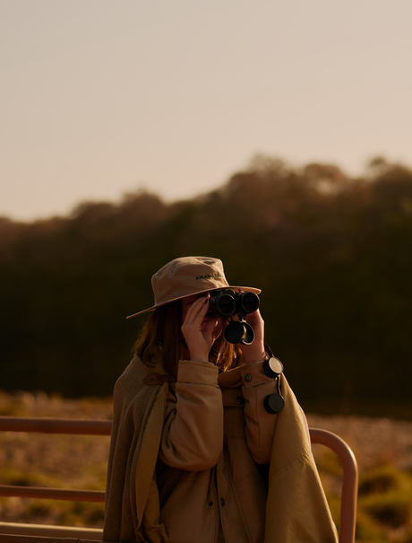 Safari guide at Aman-i-Khas observing wildlife through binoculars at dusk.