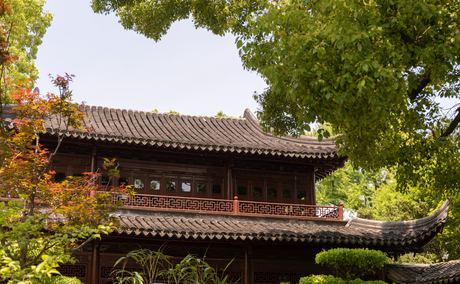 Traditional Chinese architecture framed by lush green foliage at Amanyangyun.