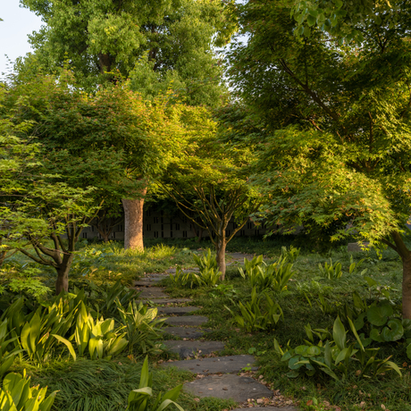 Stone pathway through lush woodland gardens at Amanyangyun, China.