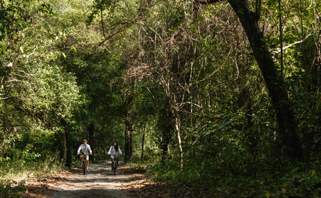 Cyclist riding through tree-lined path at Amanwana, Indonesia.