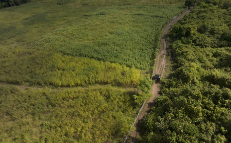 Aerial view of a winding dirt road through lush forest at Amanwana, Sumbawa, Indonesia.