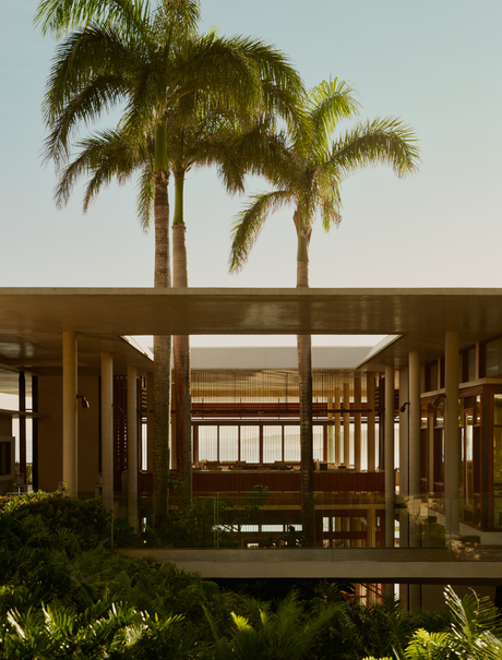 Wooden pavilion with open sides at Amanera, framed by tall palm trees at dusk.
