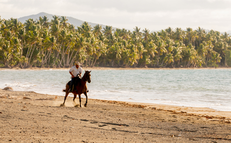 Rider on horseback walking along a sandy beach with pine forest backdrop at Amanera, Dominican Republic.