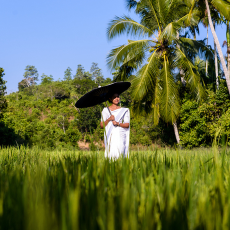 Worker in white clothing standing in a lush green tea plantation at Amangalla, Sri Lanka.