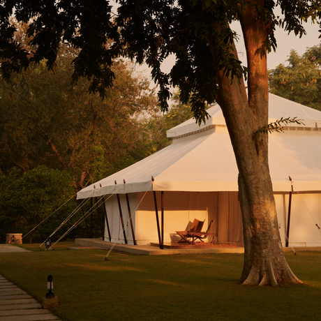 Spa exterior at Aman-i-Khas at dusk, with illuminated canvas pavilion beneath a large tree.