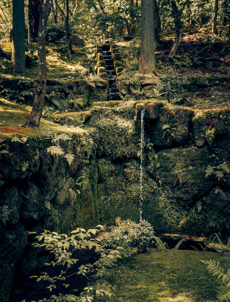 Sunlit woodland garden with moss-covered stones and a small stream at Aman Kyoto.