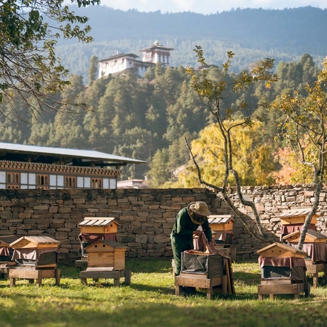Elephant in manicured gardens at Amankora Bumthang, with traditional architecture and forested mountains beyond.