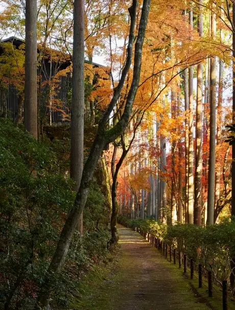 Aman Kyoto